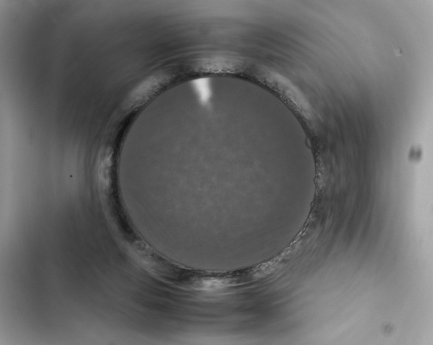 X0000101990163200808151432