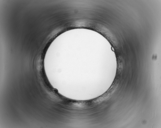 X0000101990164200808151432