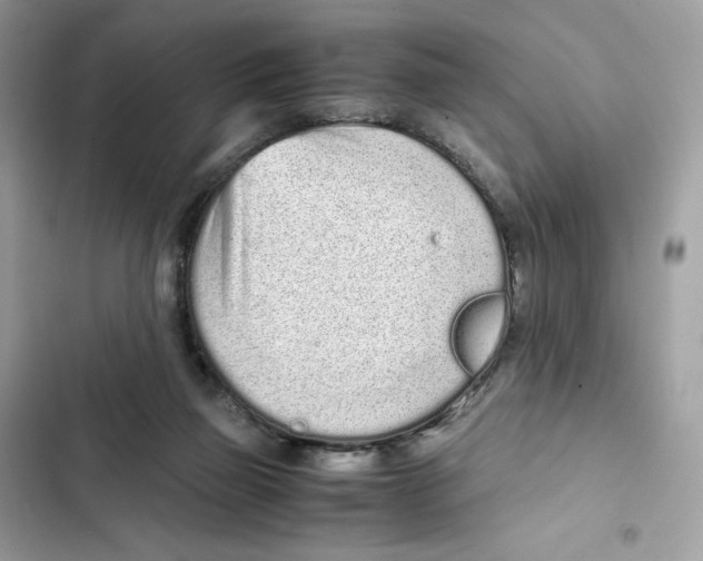 X0000101990165200808151432