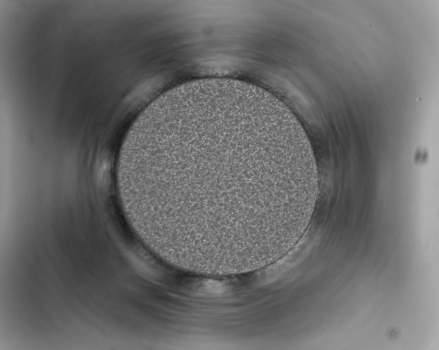 X0000101990166200808151432