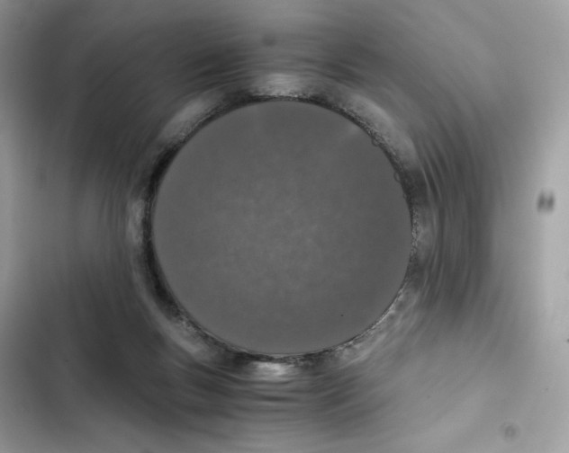 X0000101990167200808151432