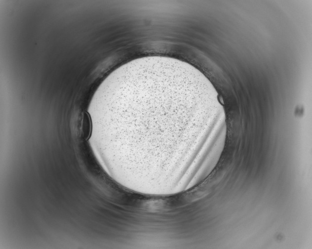 X0000101990168200808151432