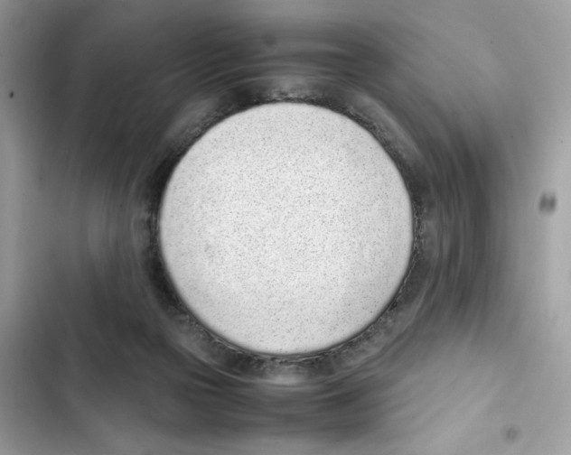 X0000101990169200808151432
