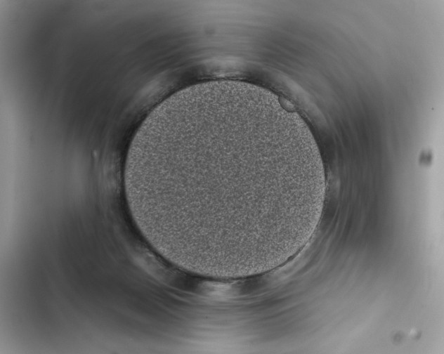 X0000101990170200808151432