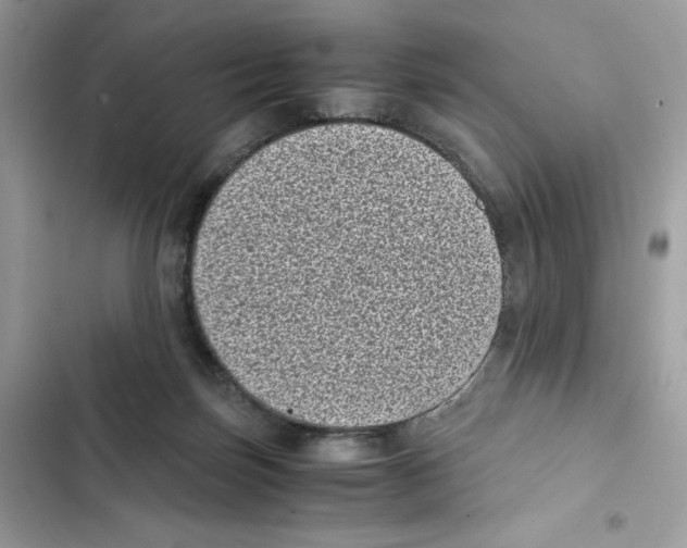 X0000101990171200808151432