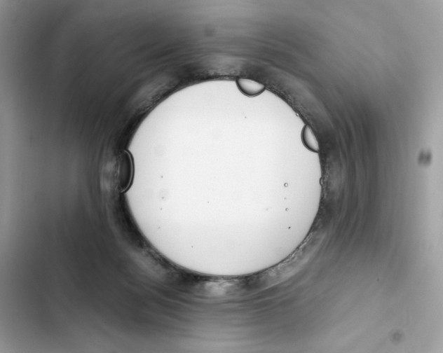 X0000101990172200808151432