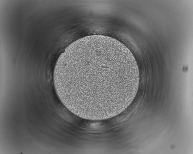 X0000101990173200808151432