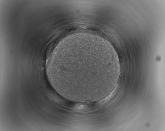 X0000101990174200808151432