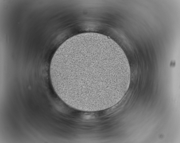 X0000101990175200808151432