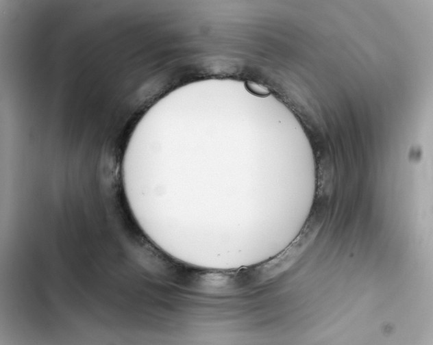 X0000101990176200808151432