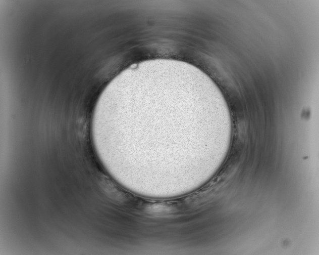 X0000101990177200808151432