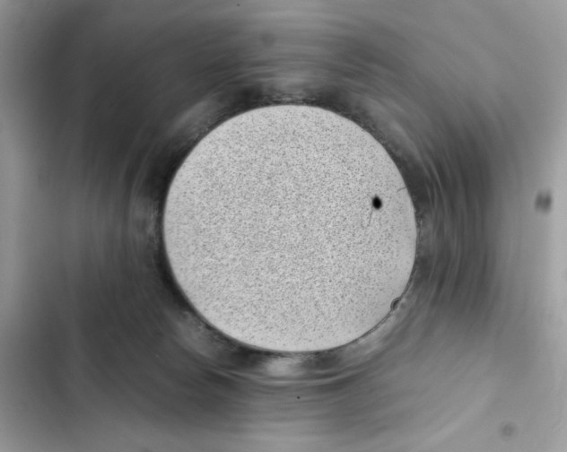 X0000101990178200808151432