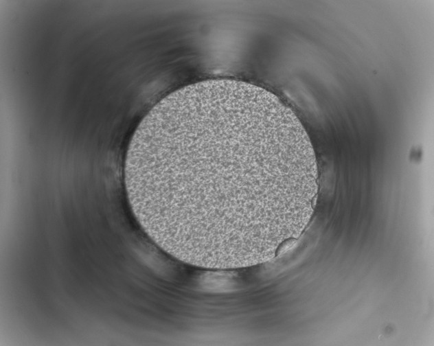 X0000101990179200808151432