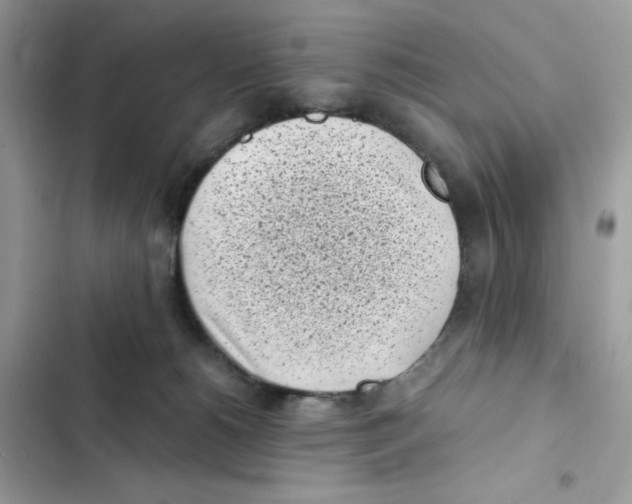 X0000101990180200808151432
