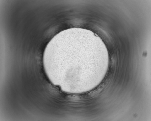 X0000101990181200808151432
