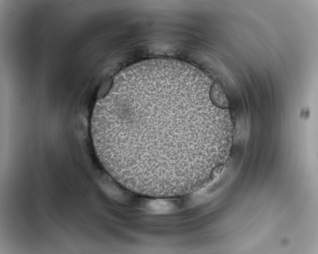X0000101990183200808151432