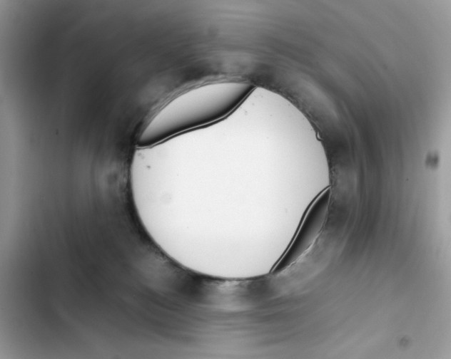 X0000101990184200808151432