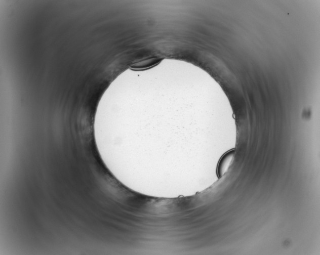 X0000101990186200808151432