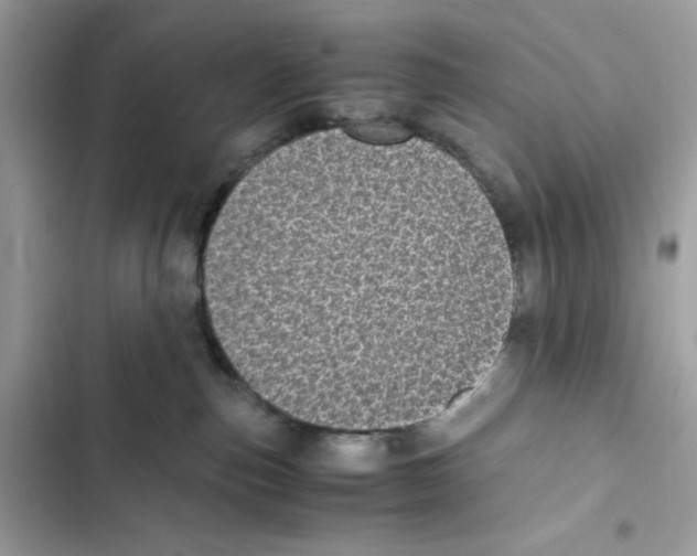 X0000101990187200808151432