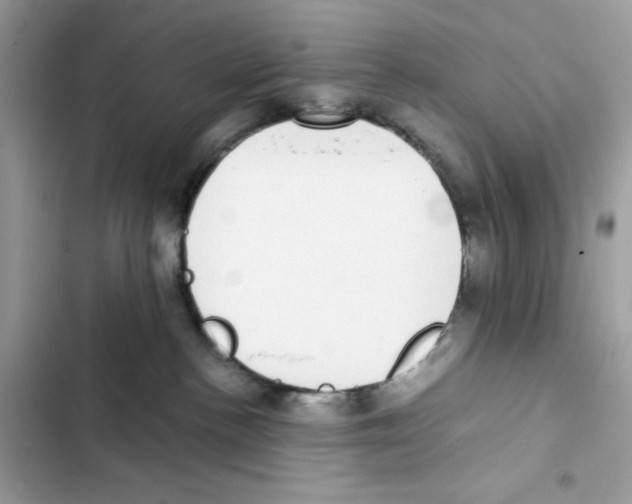 X0000101990188200808151432