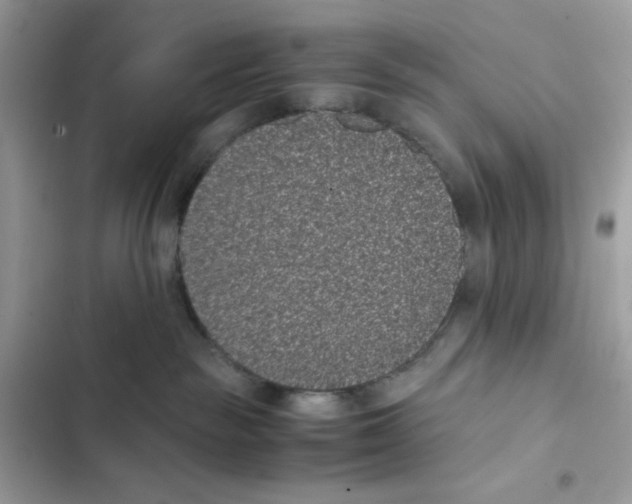 X0000101990189200808151432