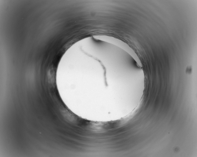 X0000101990190200808151432