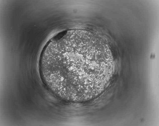 X0000101990195200808151432