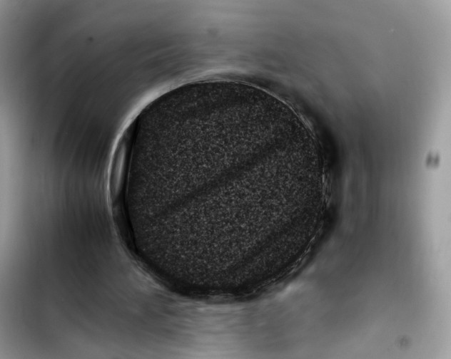 X0000101990196200808151432