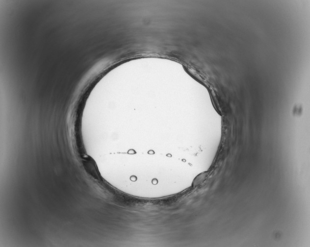 X0000101990197200808151432