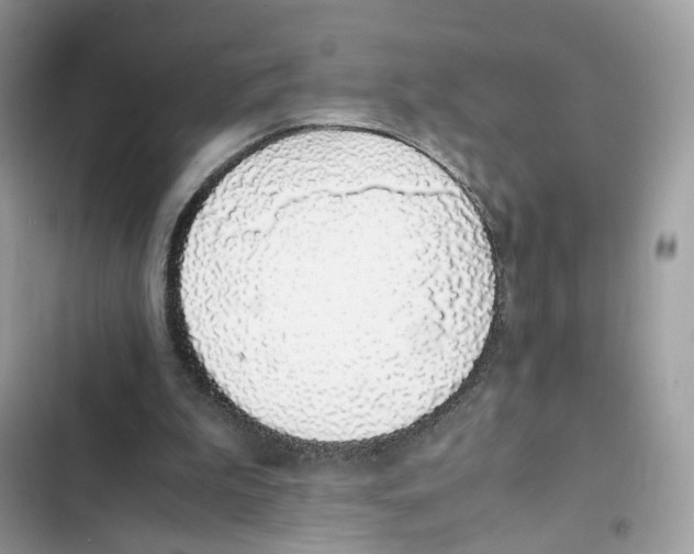 X0000101990199200808151432