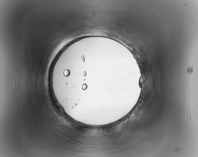 X0000101990200200808151432