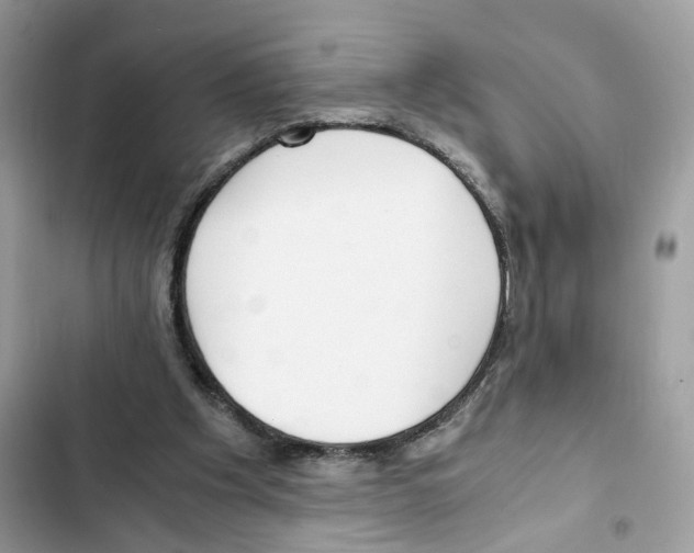 X0000101990201200808151432