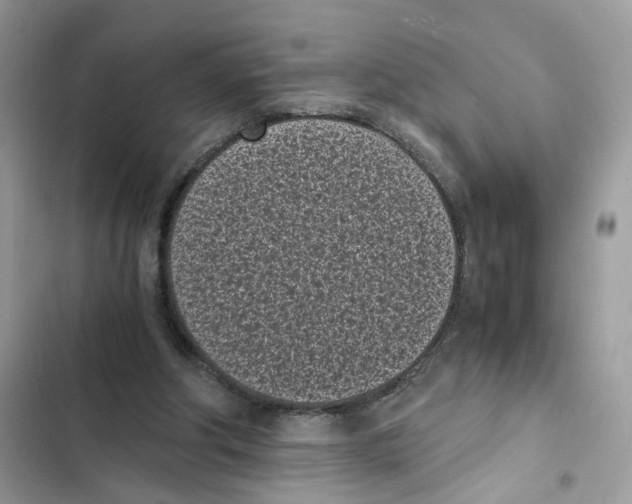 X0000101990202200808151432