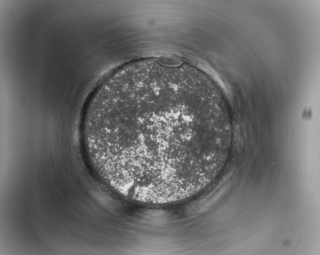X0000101990203200808151432