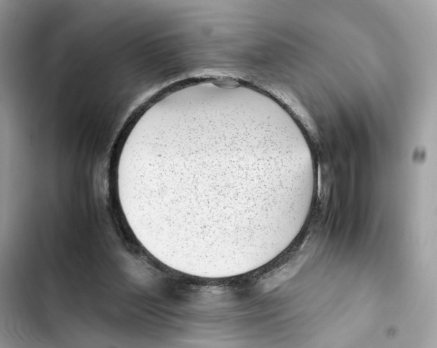 X0000101990204200808151431