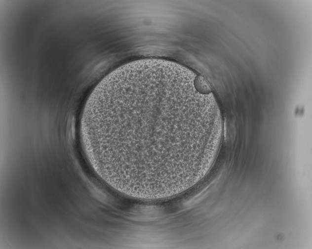 X0000101990205200808151431