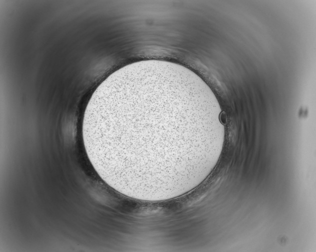 X0000101990206200808151431