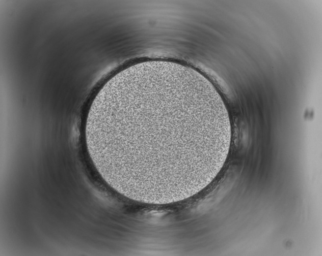 X0000101990208200808151431