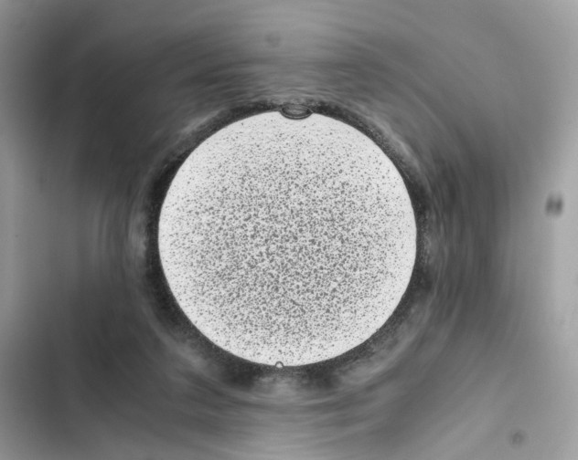 X0000101990211200808151431