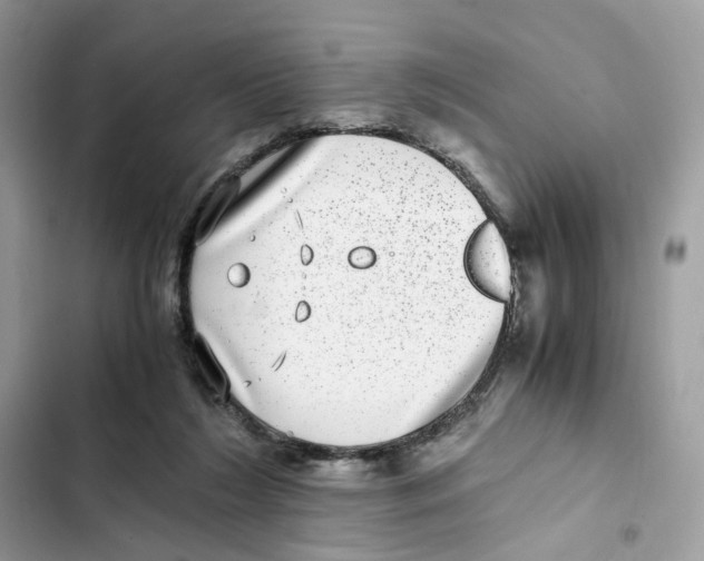 X0000101990212200808151431
