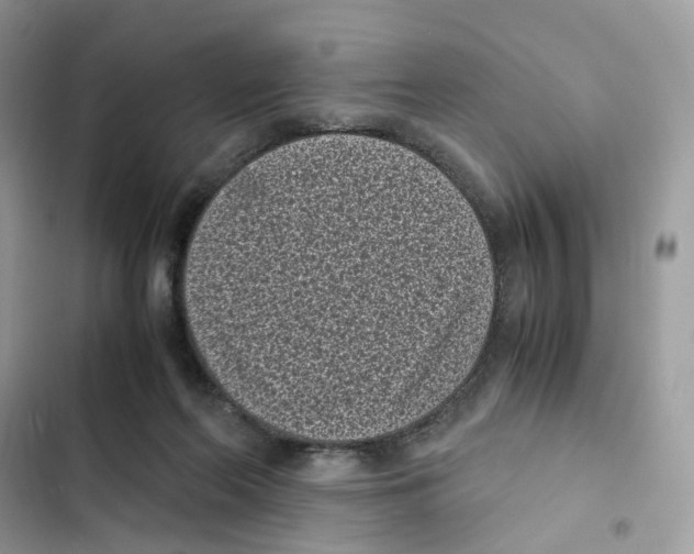 X0000101990214200808151431