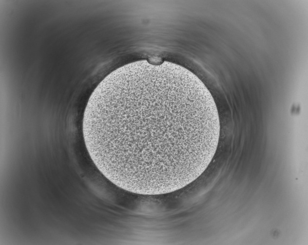 X0000101990215200808151431