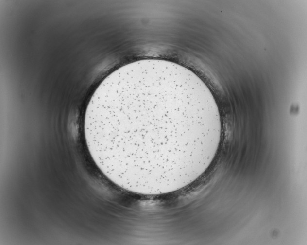 X0000101990216200808151431