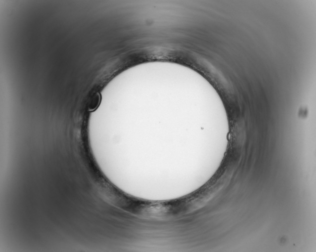 X0000101990217200808151431