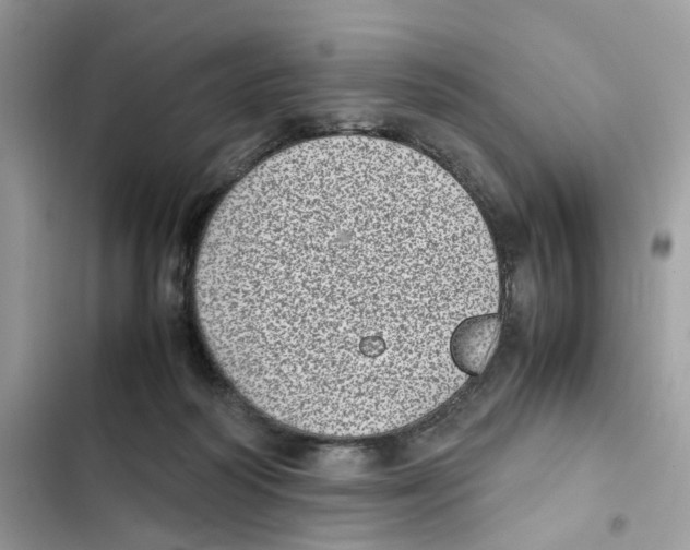X0000101990218200808151431