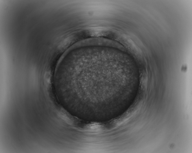 X0000101990219200808151431