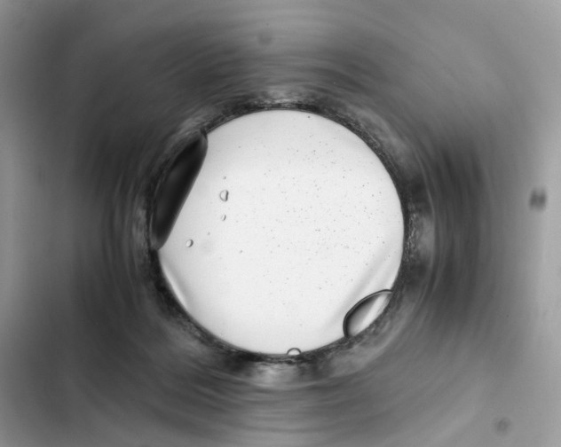 X0000101990220200808151431