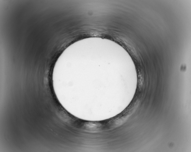 X0000101990221200808151431