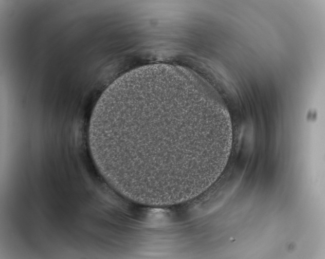 X0000101990222200808151431