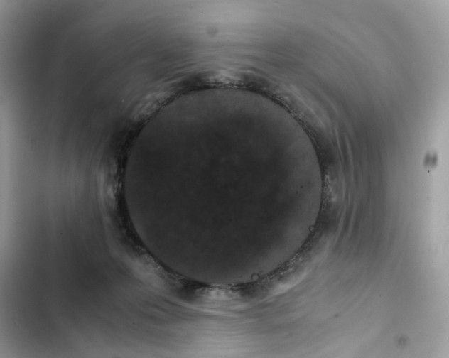 X0000101990223200808151431